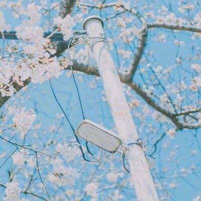 黑暗雄心无限钻石金币版下载
